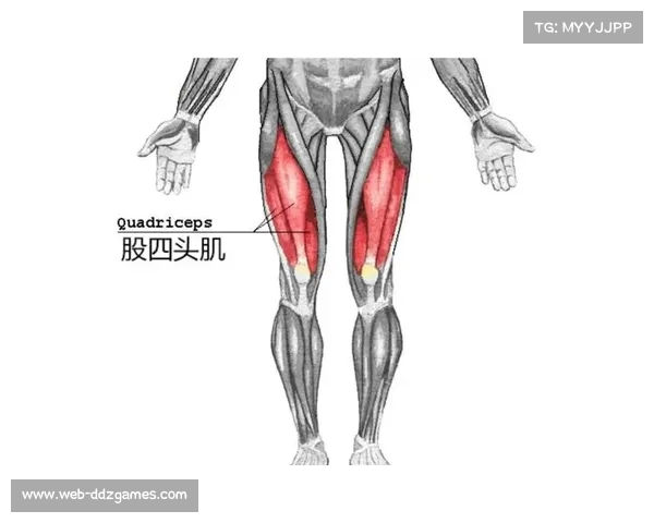 阿诺德确诊左腿股四头肌股直肌损伤，将缺席约两个月关键比赛